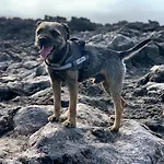 Appartement Dome With Pool El Escobonal