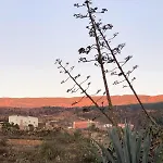 Dome With Pool * El Escobonal